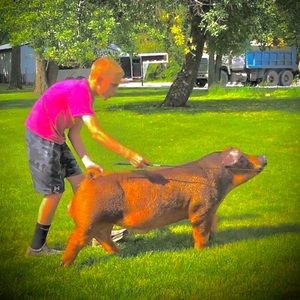 Meet your Posher, Marek